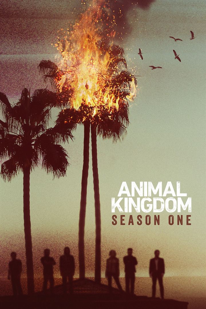 Animal Kingdom Saison 1 FRENCH HDTV