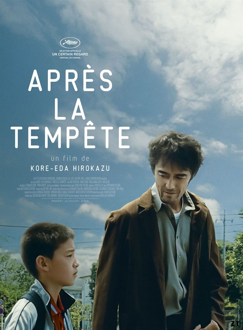 Après la tempête FRENCH DVDRIP 2018