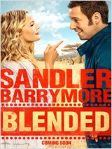 Blended VOSTFR DVDRIP 2014