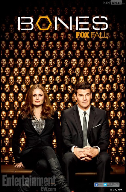 Bones S08E22 FRENCH HDTV