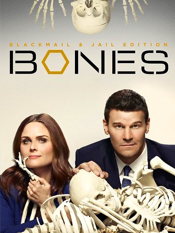 Bones S11E12 VOSTFR HDTV