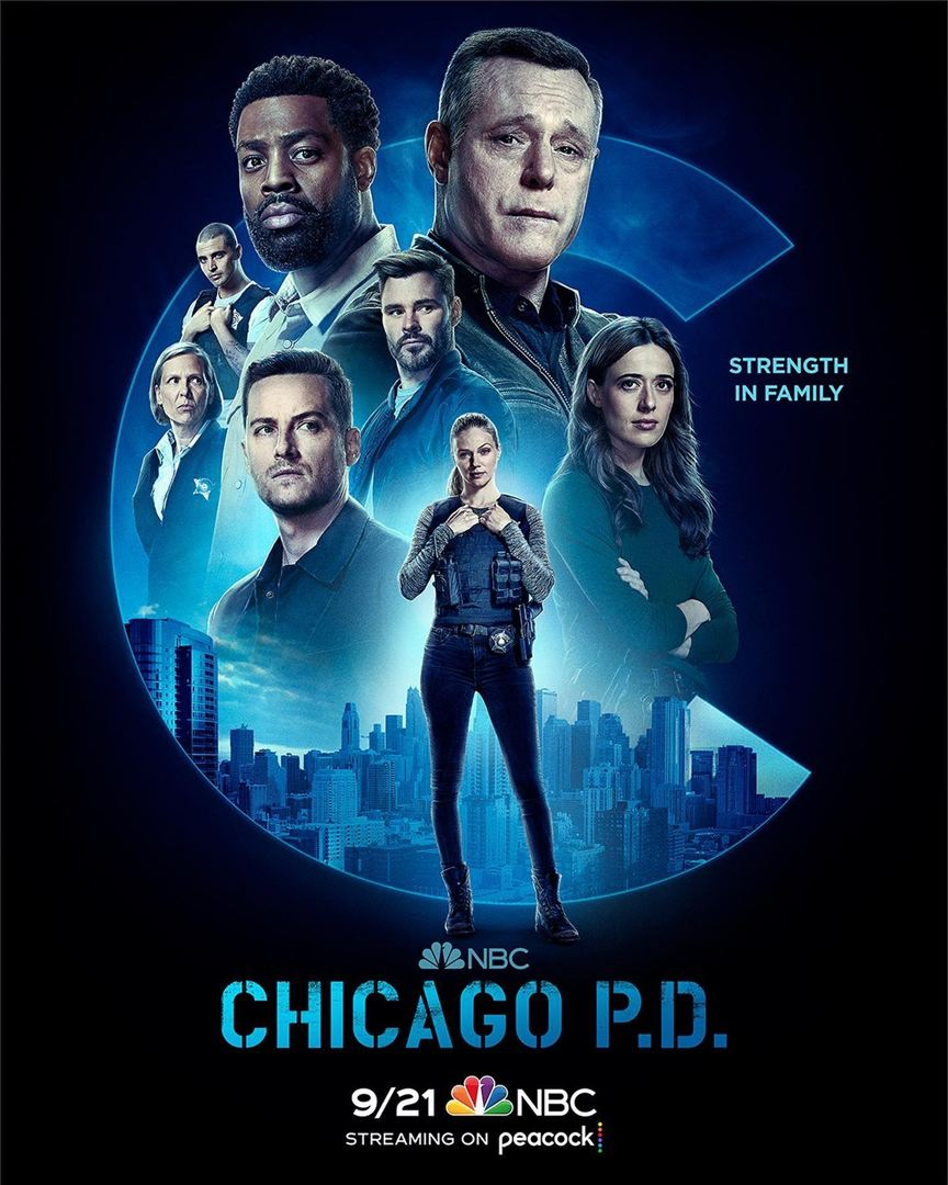 Chicago Police Department S10E02 VOSTFR HDTV