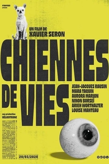 Chiennes de vie FRENCH WEBRIP 720p 2024 FRENCH WEBRIP 720p 2024