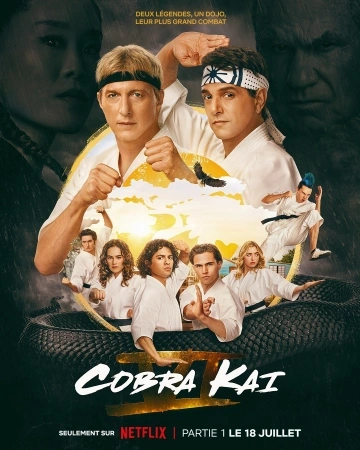 Cobra Kai S06E13 FRENCH HDTV 2024