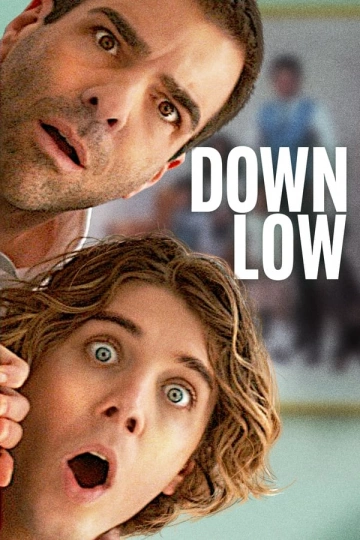 Down Low FRENCH WEBRIP x264 2023