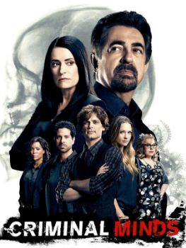 Esprits criminels (Criminal Minds) S14E07 VOSTFR