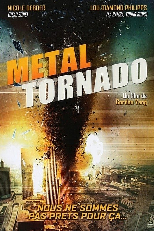 Face à la tornade FRENCH DVDRIP 2011