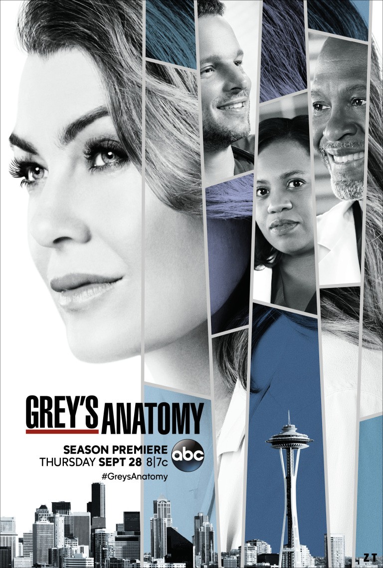 Grey's Anatomy S14E09 VOSTFR HDTV