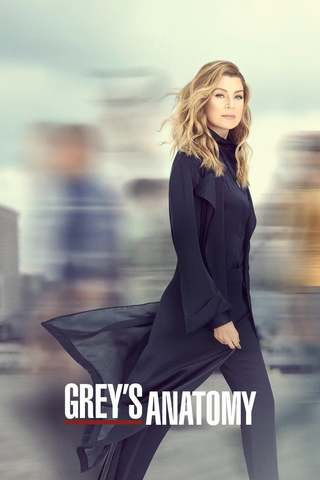 Grey's Anatomy S16E03 VOSTFR HDTV