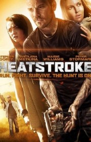 Heatstroke FRENCH DVDRIP 2014