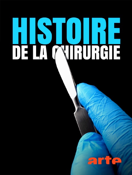 Histoire de la chirurgie FRENCH WEBRIP 1080p 2024