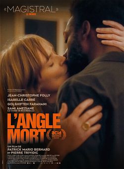 L'Angle Mort FRENCH WEBRIP 720p 2020