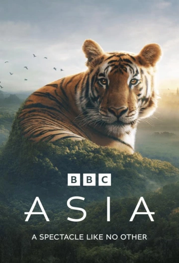 L'Asie - Asia S01E07 FINAL VOSTFR HDTV 2024