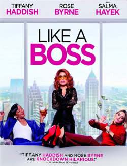 Like a Boss TRUEFRENCH DVDRIP 2020