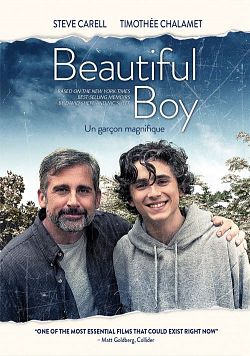 My beautiful boy FRENCH WEBRIP 2019