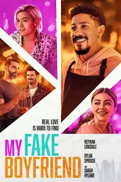 My Fake Boyfriend FRENCH WEBRIP 720p 2022