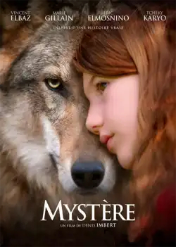 mystère FRENCH BluRay 1080p 2022