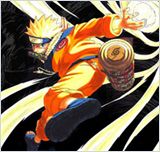 Naruto Shippuden 209 VOSTFR