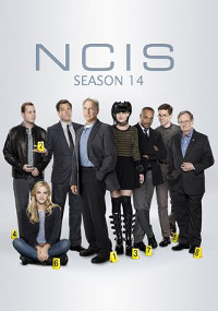 NCIS S14E10 VOSTFR HDTV