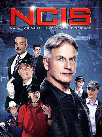 NCIS S14E15 VOSTFR HDTV