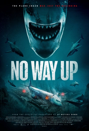 No Way Up VOSTFR WEBRIP 1080p 2024