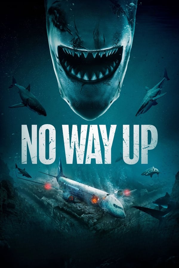 No Way Up MULTI WEBRIP 1080p 2024 MULTI WEBRIP 1080p 2024