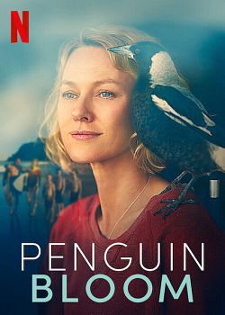 Penguin Bloom FRENCH WEBRIP 1080p 2021