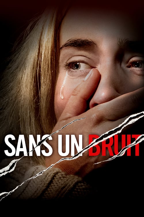 Sans un bruit FRENCH BluRay 720p 2018