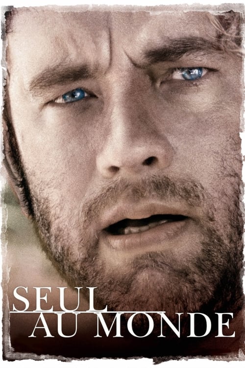 Seul au monde - Cast Away MULTI TRUEFRENCH HDLight 1080p 2000