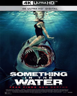 Something In The Water FRENCH WEBRIP 2024