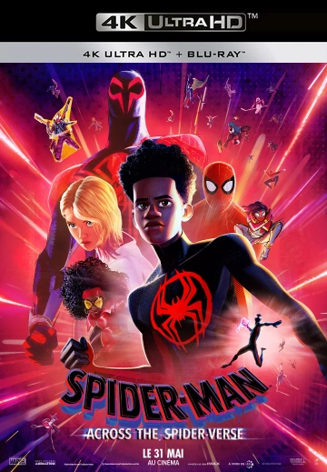 Spider-Man : Across The Spider-Verse MULTI 4K ULTRA HD x265 2023