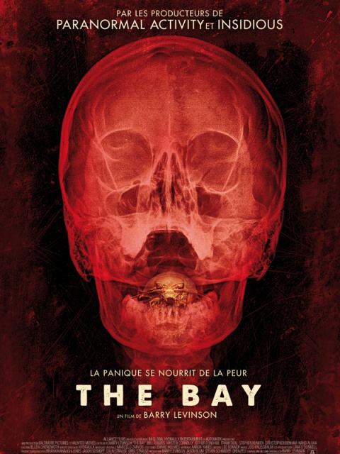 The Bay VOSTFR DVDRIP 2013