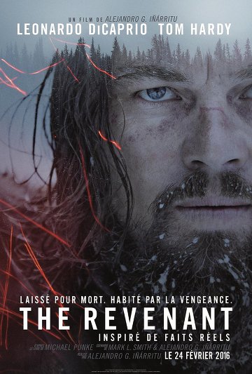 The Revenant TRUEFRENCH DVDRIP 2016