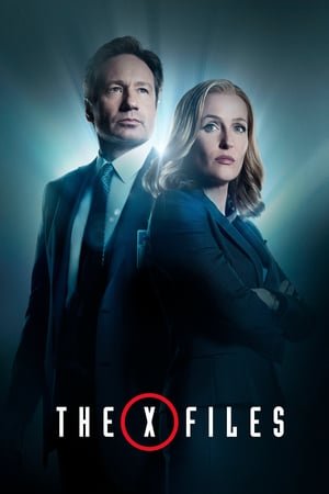 The X-Files Saison 9 MULTI WEBRIP 1080p HDTV