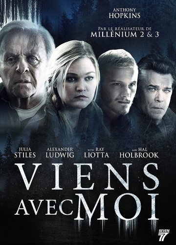 Viens avec moi FRENCH DVDRIP 2016