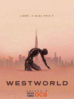 Westworld S03E05 VOSTFR HDTV